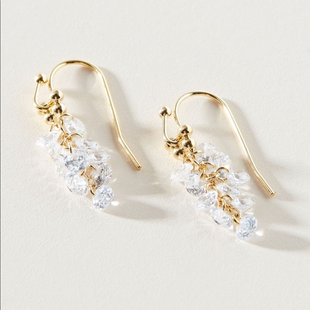 Anthropologie drop earrings NWT